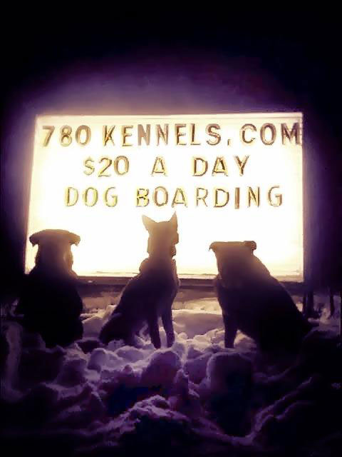 $20 a Day Dog Boarding at Olde 780 Kennels $20 a Day Dog Boarding at Olde 780 Kennels