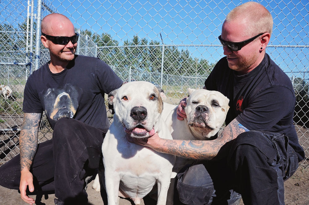 Jaws and Rhyno loving their trainers Jaws and Rhyno loving their trainers