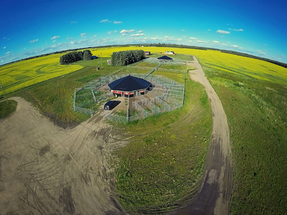 New 780 Kennels with 2 Octagon Facilities New 780 Kennels with 2 Octagon Facilities