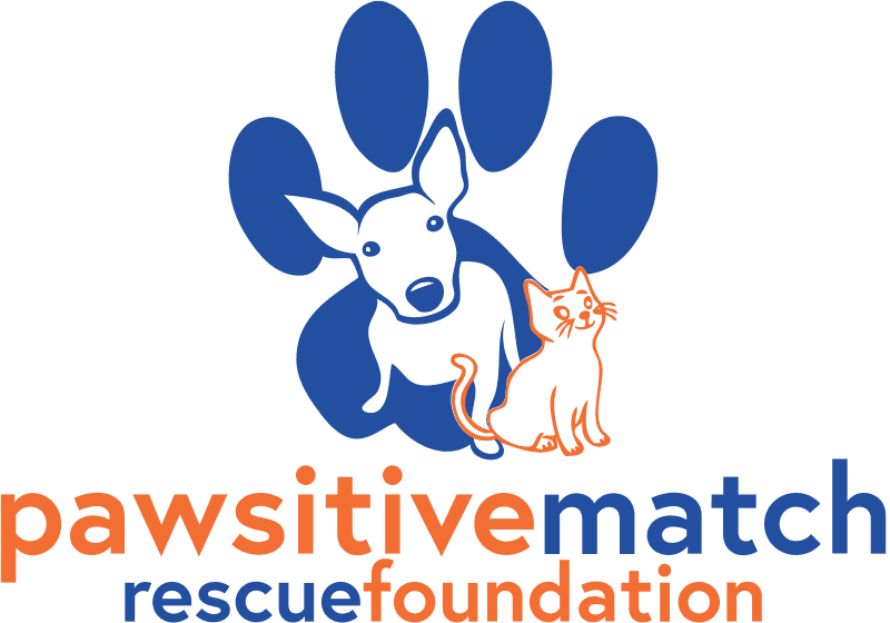 Open Pawsitive Match Rescue Foundation letter of reference for 780 Kennels.
